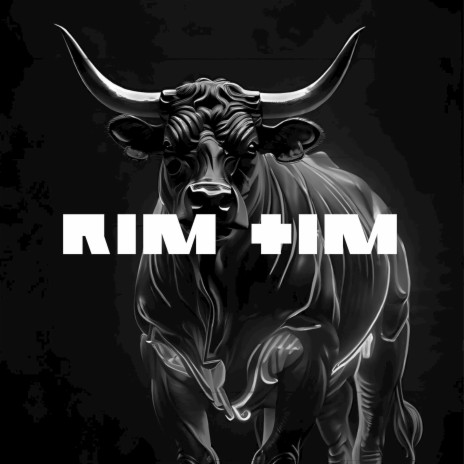 Rim Tim | Boomplay Music