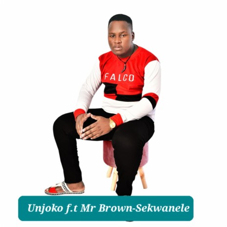 Sekwanele ft. Mr Brown | Boomplay Music