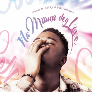 Na mumu dey love ft. Sal Ly & Diyo Matalo lyrics | Boomplay Music