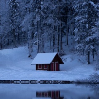 White Snow house