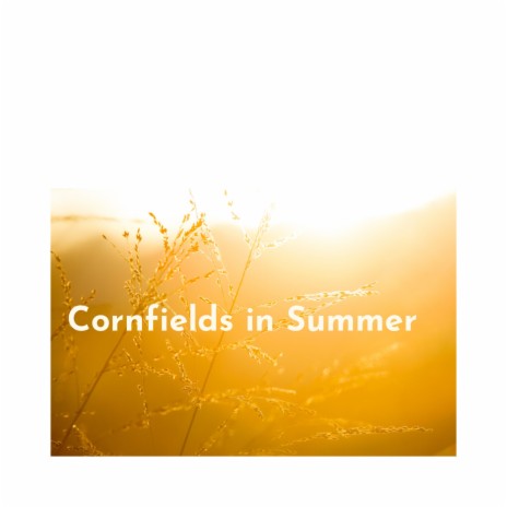 Cornfields In Summer | Boomplay Music