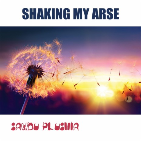 SHAKING MY ARSE | Boomplay Music