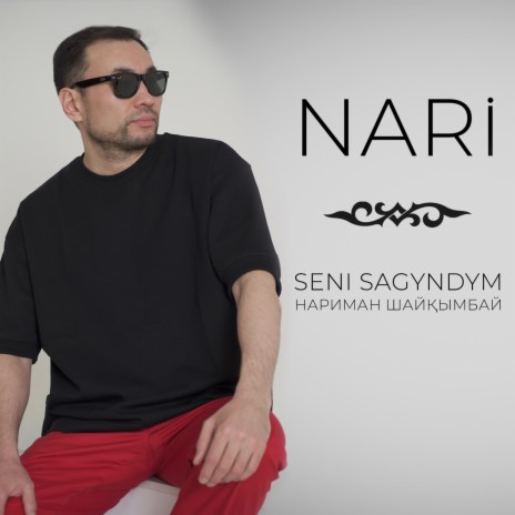 Seni sagyndym | Boomplay Music