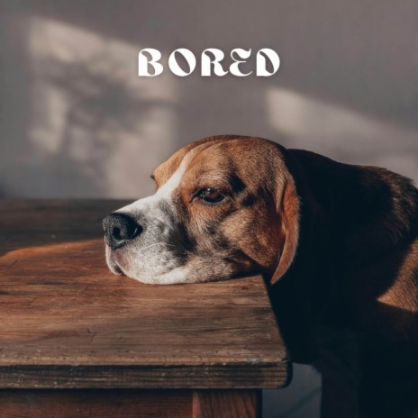 Bored | Boomplay Music