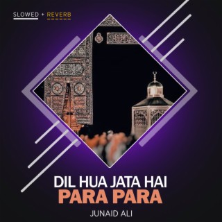 Dil Hua Jata Hai Para Para Lofi