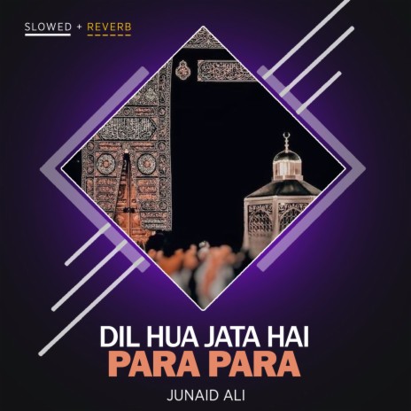 Dil Hua Jata Hai Para Para Lofi | Boomplay Music