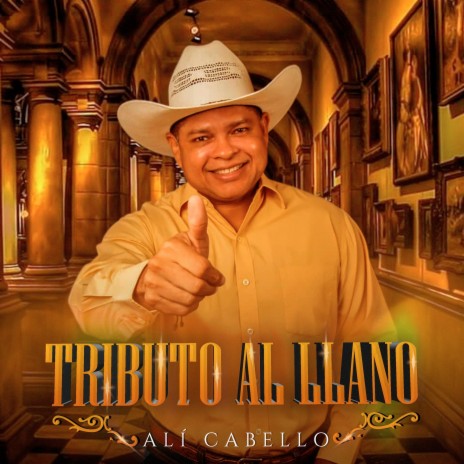 Tributo Al Llano | Boomplay Music