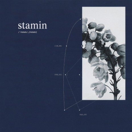Stamin | Boomplay Music