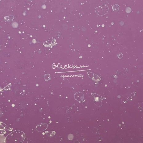 equanimity (Courtney Ballard/stef Remix) | Boomplay Music