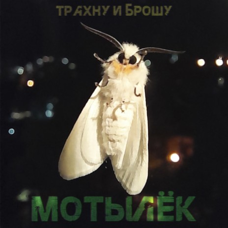 Мотылёк | Boomplay Music