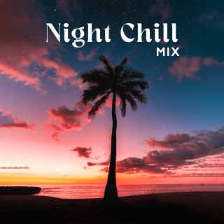 Night Chill Mix: Summer Beach Party, Chill House Beats