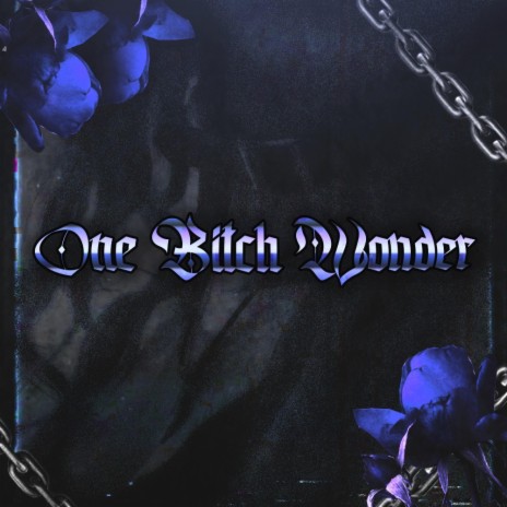 One bitch wonder ft. r3.halfpace