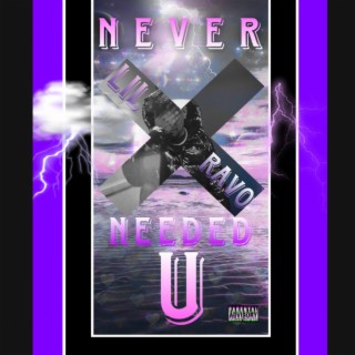 Never Needed U