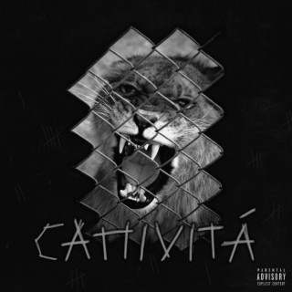 Cattività lyrics | Boomplay Music