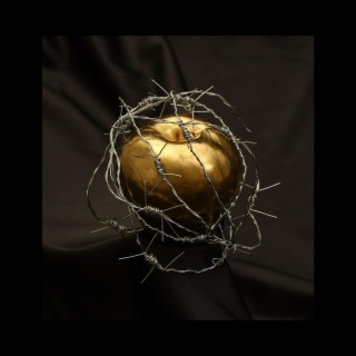 The golden apple