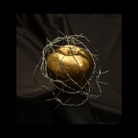 The golden apple | Boomplay Music