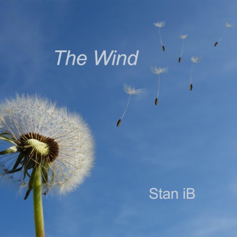 The Wind (Strings Version)