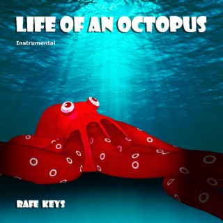 Life of an Octopus