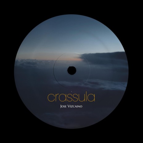 crassula | Boomplay Music