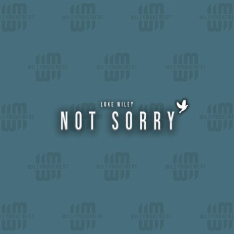 Not Sorry | Boomplay Music