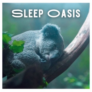 Sleep Oasis: A Serene Collection of Soothing Sounds to Relax and Unwind by Night