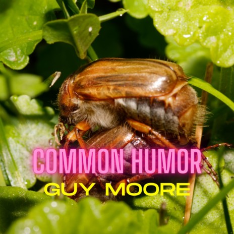 Common Humor | Boomplay Music