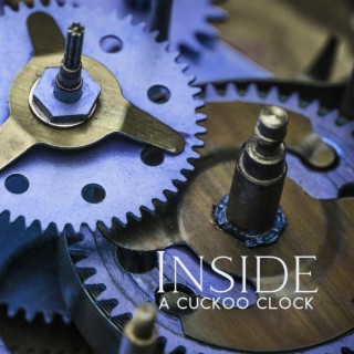 Inside A Cuckoo Clock