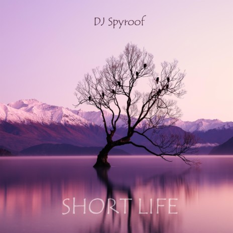 Short Life | Boomplay Music