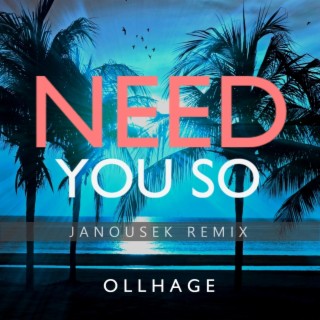 Need You So (Janousek Remix)