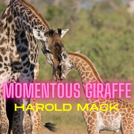 Momentous Giraffe