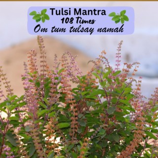 Tulsi Mantra Om tum tulsay namah 108 times