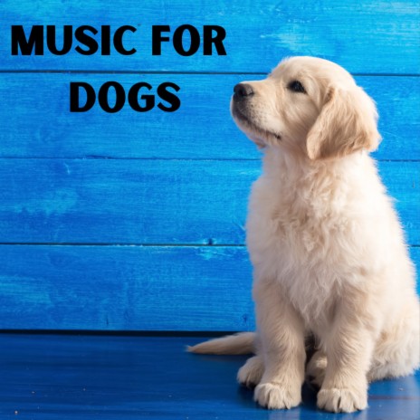 Time to Lay Down ft. Music For Dogs Peace, Relaxing Puppy Music & Calm Pets Music Academy | Boomplay Music
