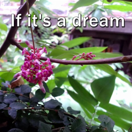 If it's a dream