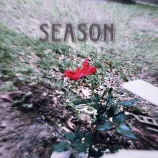 Season. lyrics | Boomplay Music