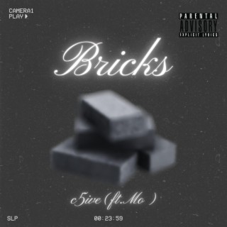 Bricks