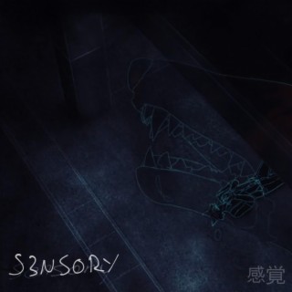 S3NSORY