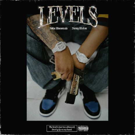 Levels (feat. Sunny Malton) | Boomplay Music