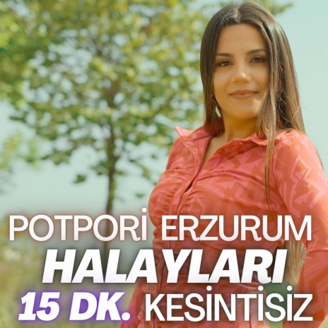 Erzurumun Güzelleri / Göleli Gelin / Şengülüm Nanay / Ördeği İpek İnen Bağlamışlar / Leyla Leyla / Sarı Papuç (Potpori Erzurum Halayları 15 Dk . Kesintisiz) | Boomplay Music