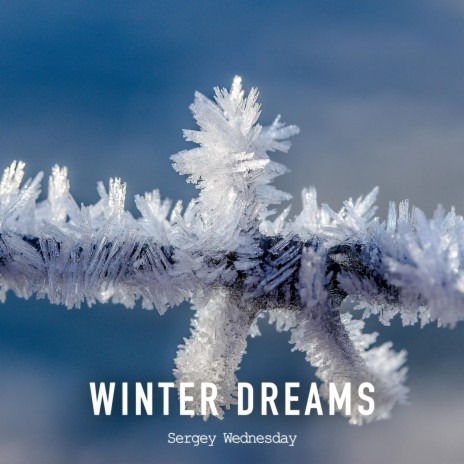 Winter Dreams | Boomplay Music