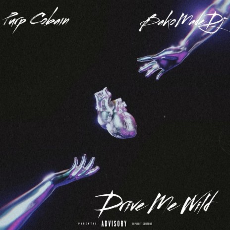 Drive Me Wild ft. BakomadeDj | Boomplay Music