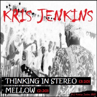 Thinking in Stereo / Mellow