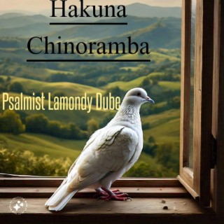 Hakuna Chinoramba