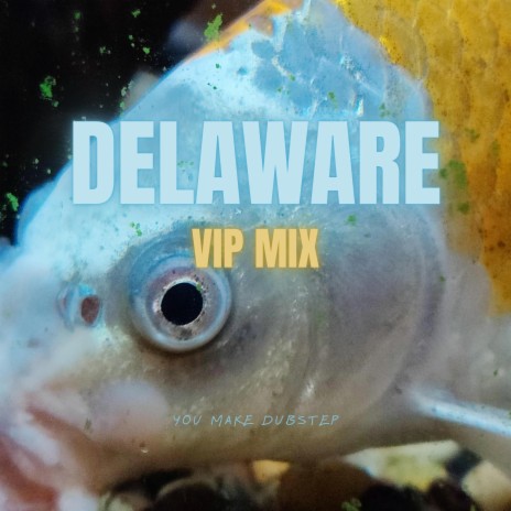 Delaware (VIP MIX) | Boomplay Music