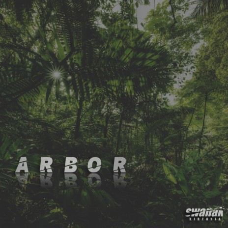 Arbor | Boomplay Music