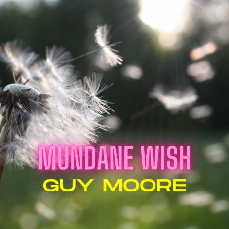 Mundane Wish