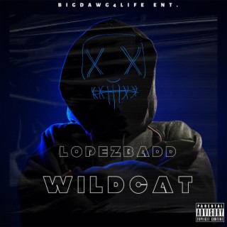 WildCat