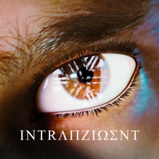 Intransigent (Instrumental)