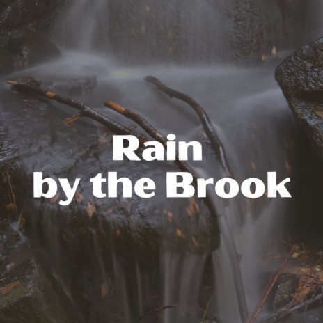 Super Rain Sounds For Relaxation Mp3 Download Super Rain Sounds For Relaxation Lyrics Boomplay Music