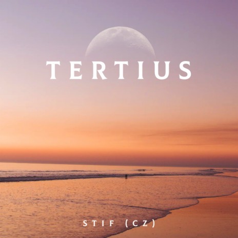 Tertius (Extended Mix) | Boomplay Music