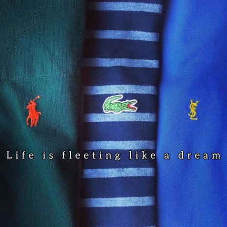 Life Is Fleeting Like A Dream | Boomplay Music